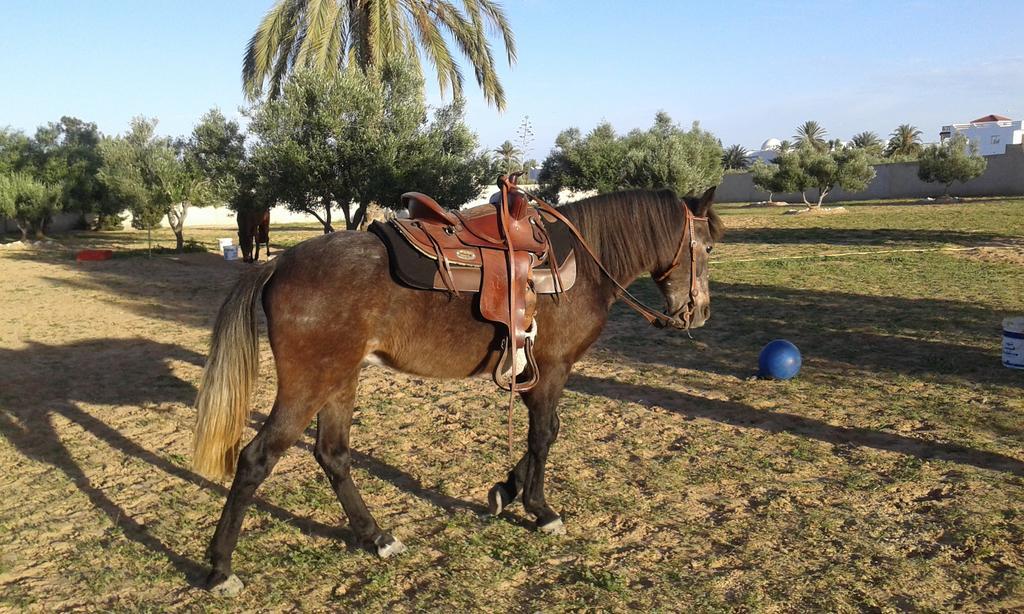 Menzel Churasco Djerba أغير المظهر الخارجي الصورة