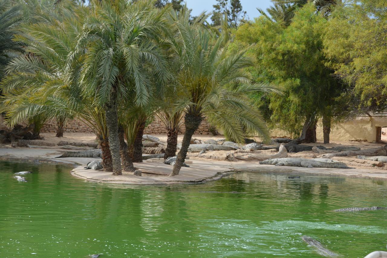 Menzel Churasco Djerba أغير المظهر الخارجي الصورة